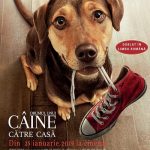 Drumul unui câine către casă – A Dog’s Way Home