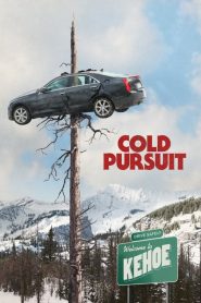 Ucide-i cu sânge rece – Cold Pursuit